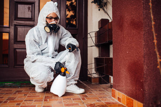Reliable Cockroach Control contractor in Rock Springs, NM by Nex Pest Control